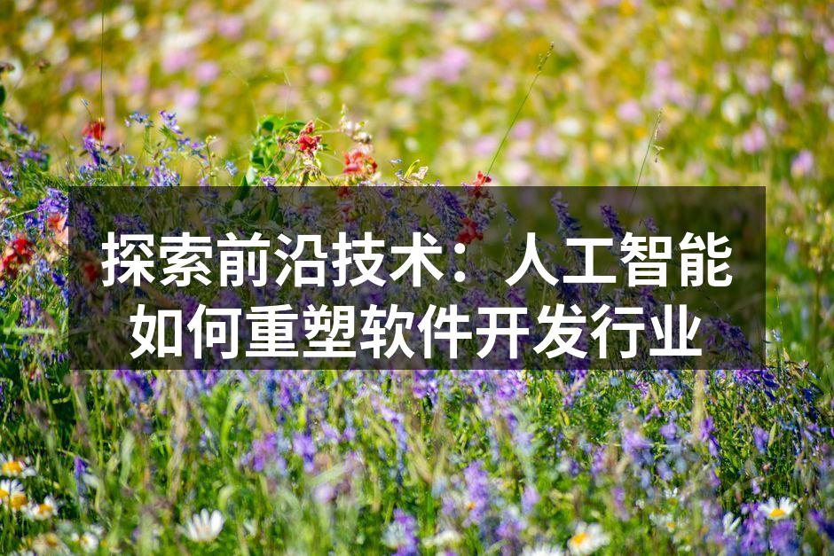 探索前沿技术：人工智能如何重塑软件开发行